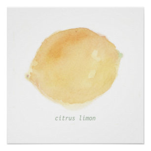 Póster citron