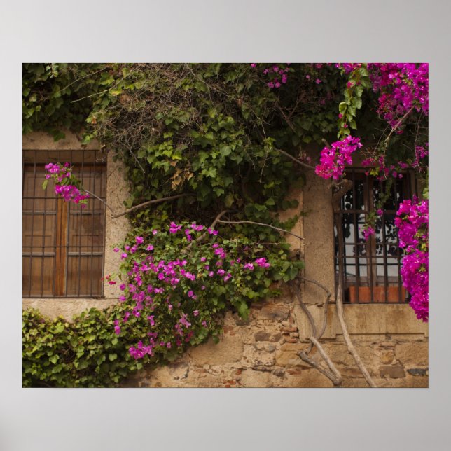 Póster Ciudad Monumental, edifícios cobertos de flores (Frente)