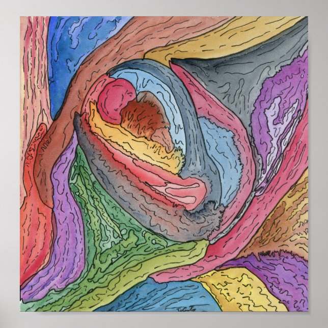 Poster Clam Claw (Frente)