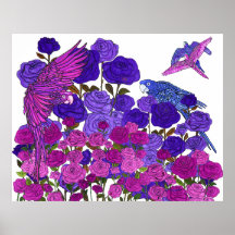 Claridade do papagaio