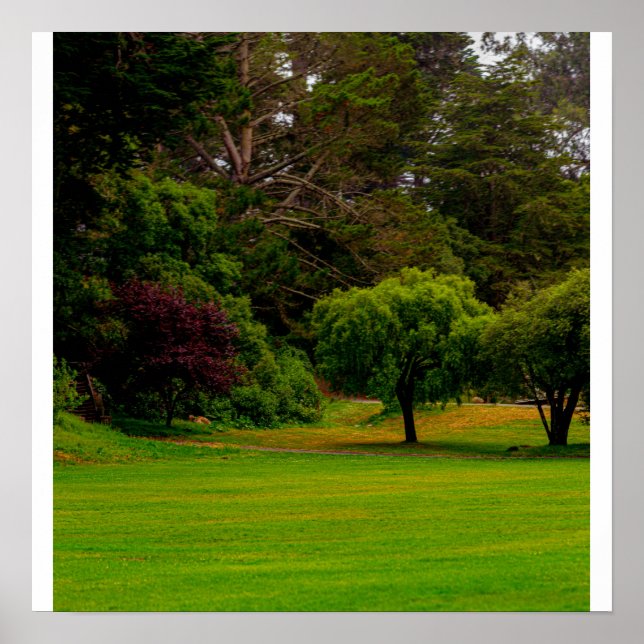 Poster Claro Verde (Frente)