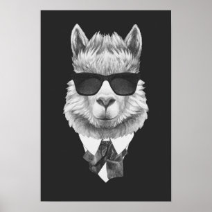 Poster Classy Llama