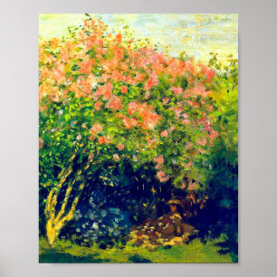 Poster Claude Monet