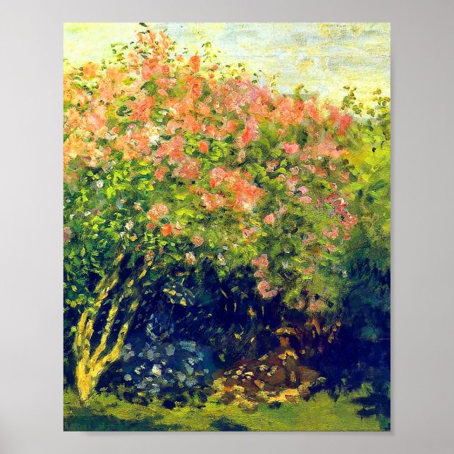 Poster Claude Monet (Frente)