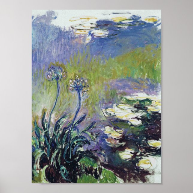Poster Claude Monet - Agapanthus, (Frente)