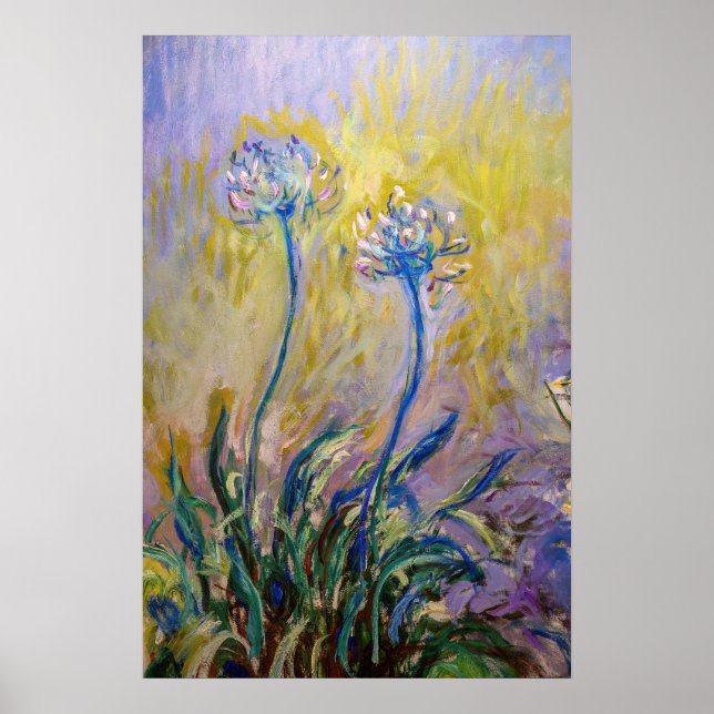 Poster Claude Monet - Agapanthus (Frente)