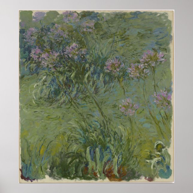 Poster Claude Monet - Agapanthus (Frente)