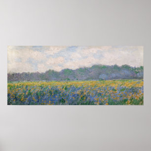 Poster Claude Monet - Campo de Íris Amarelos em Giverny