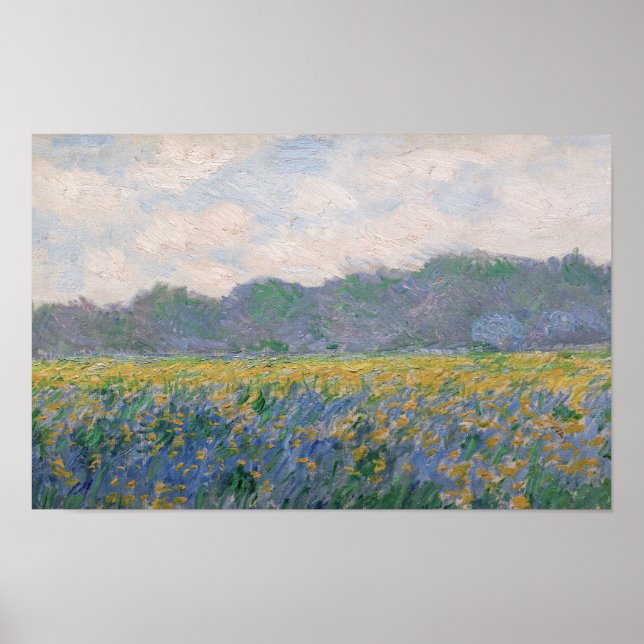 Poster Claude Monet - Campo de Íris Amarelos em Giverny (Frente)
