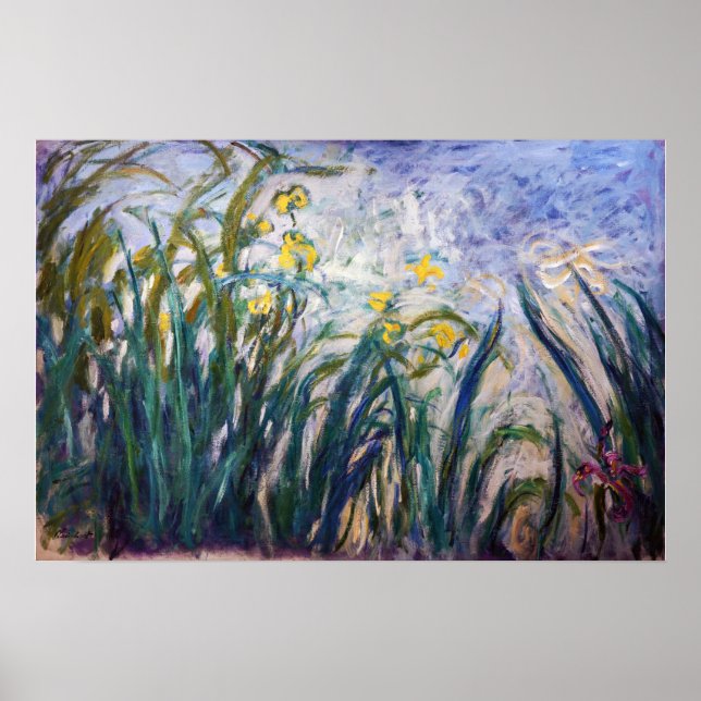 Poster Claude Monet - Íris Amarelos e Roxos (Frente)