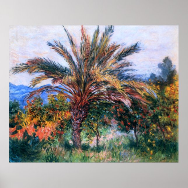 Poster Claude Monet: Palm Tree em Bordighera (Frente)