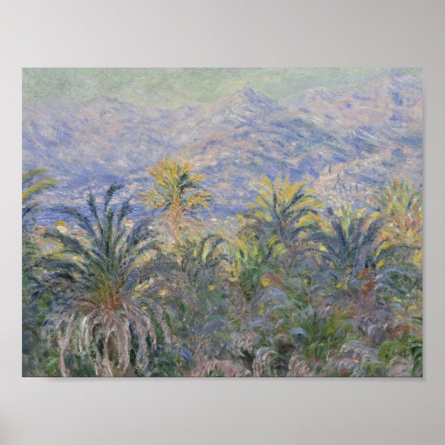 Póster Claude Monet - Palm Trees em Bordighera (Frente)
