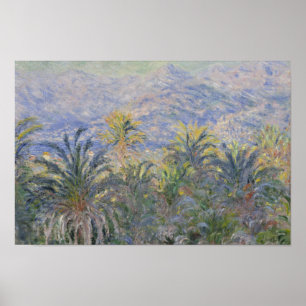 Póster Claude Monet - Palm Trees em Bordighera