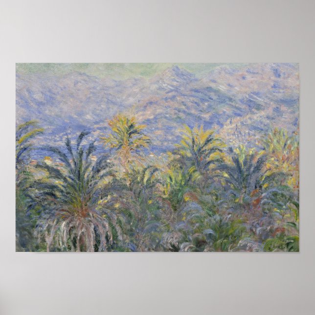 Póster Claude Monet - Palm Trees em Bordighera (Frente)