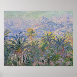 Póster Claude Monet Palmeiras em Bordighera