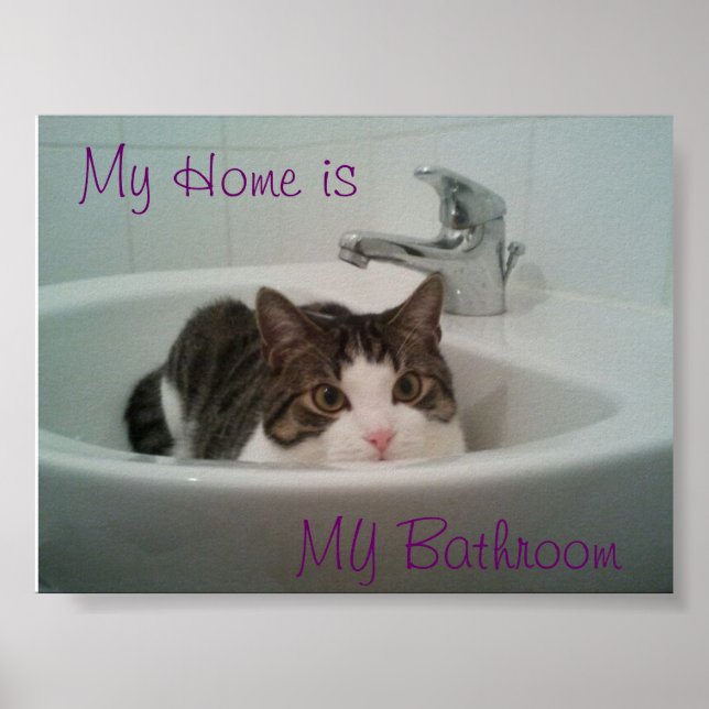 Poster Clean Cat (Frente)