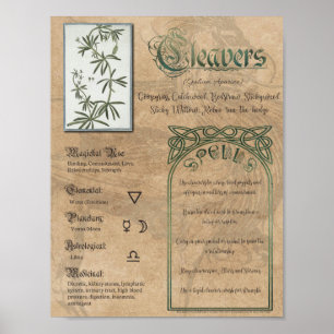 Poster Cleavers Herbal Book of Shadows Pagan Wiccan