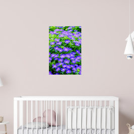 Poster Clematis de Drummond - uma florzinha azul