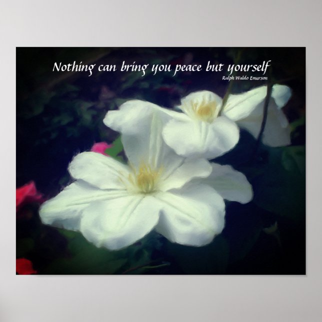 Poster Clematis Flower Peace Quote Inspiration (Frente)