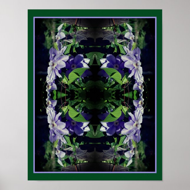 Poster Clematis Roxa Na Cerca De Abstrato (Frente)