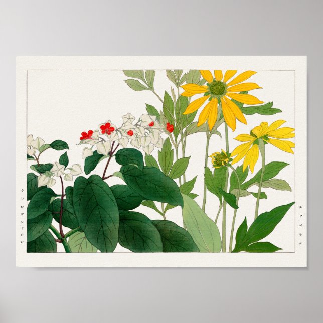 Poster Clerodendrum thomsoniae, Rudbeckia, Tanigami Konan (Frente)