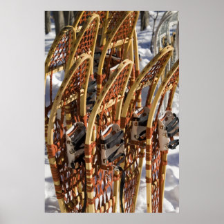 Póster Clínica Snowshoe