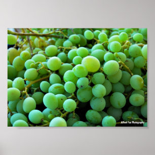 Poster Close-up de Uvas Brancas