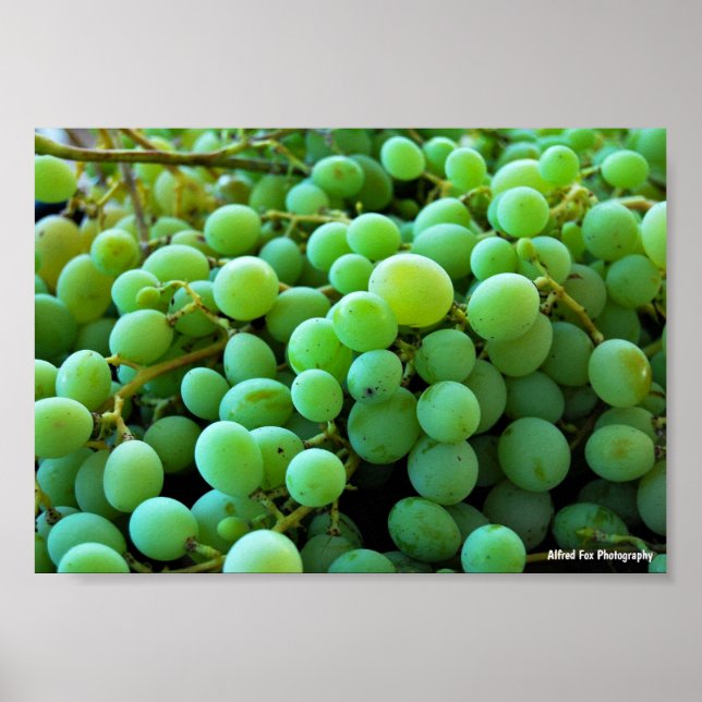 Poster Close-up de Uvas Brancas (Frente)