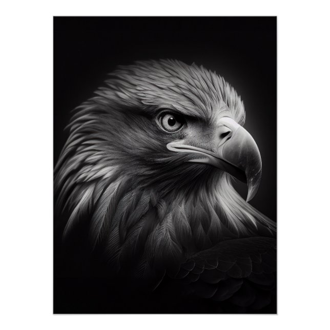 Póster Close-up moody portrait of eagle's face (Frente)