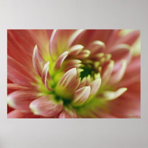 Póster Close-up of a flower 2