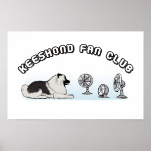 Poster Clube de Ventiladores Keeshond