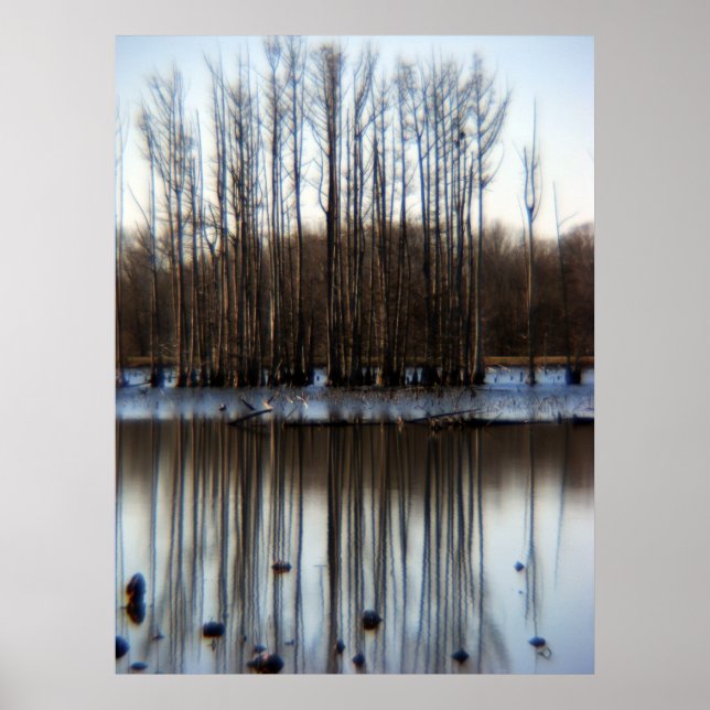 Póster Cluster (Frente)