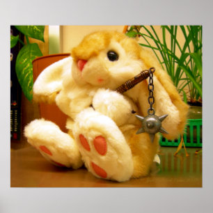 Poster Clyde da Bunny