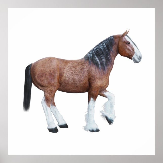 Poster Clydesdale 3 (Frente)