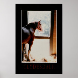 Poster Clydesdale majestoso