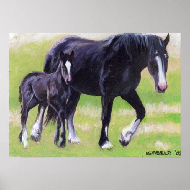 Póster Clydesdale Mare e Foal Horse Retrato (Frente)