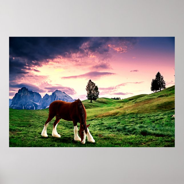 Poster Clydesdale Sunset (Frente)