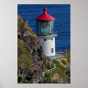 Póster Coastal lighthouse, Hawaii