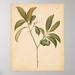 Poster Cobalt Deco Painel I