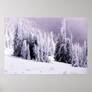 Poster coberto de neve da paisagem