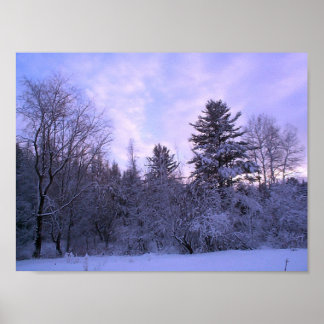 Póster Cobertura de inverno (4)