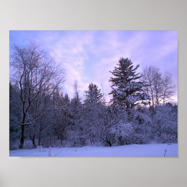 Póster Cobertura de inverno (4) (Frente)