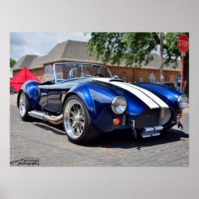 Poster Cobra (Frente)