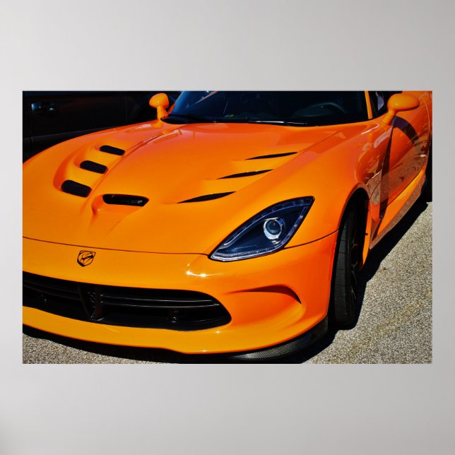 Póster Cobra Bitten (Frente)