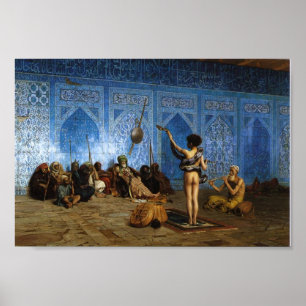 Póster Cobra Charmer