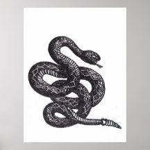 Cobra Crotalus Cascavella (Víbora Pitonisa Venenos