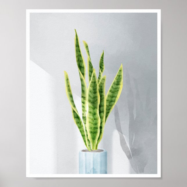 Poster Cobra, língua materna, Sansevieria (Frente)