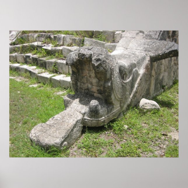 Poster Cobra maia (Frente)