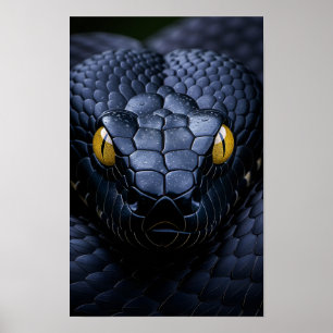 Poster Cobra preto