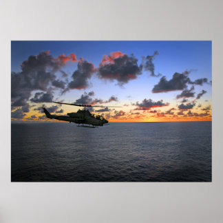 Póster Cobra Sunset